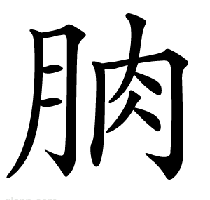 朒